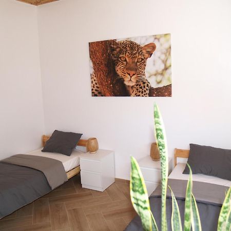 Dar Makai Surf Hotel Tamraght Dış mekan fotoğraf