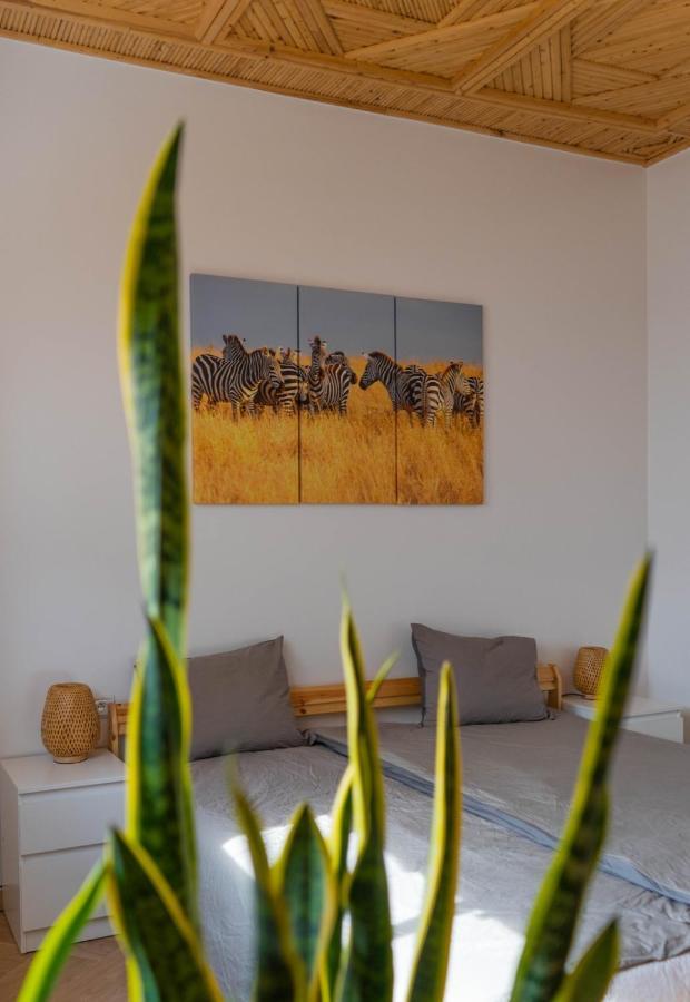 Dar Makai Surf Hotel Tamraght Dış mekan fotoğraf
