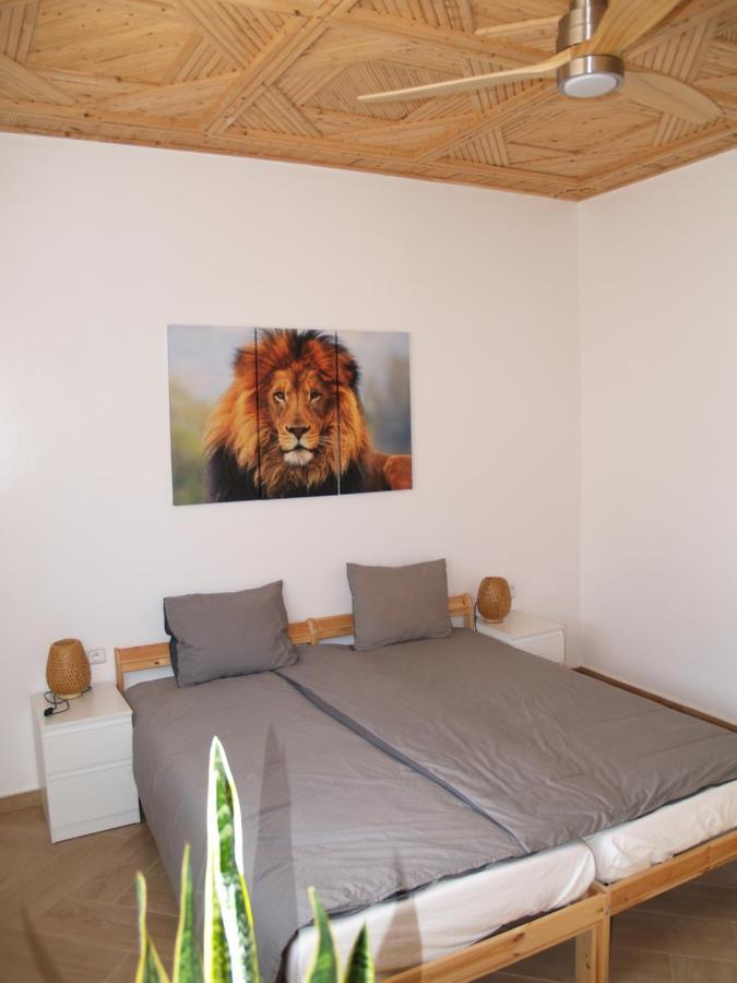 Dar Makai Surf Hotel Tamraght Dış mekan fotoğraf