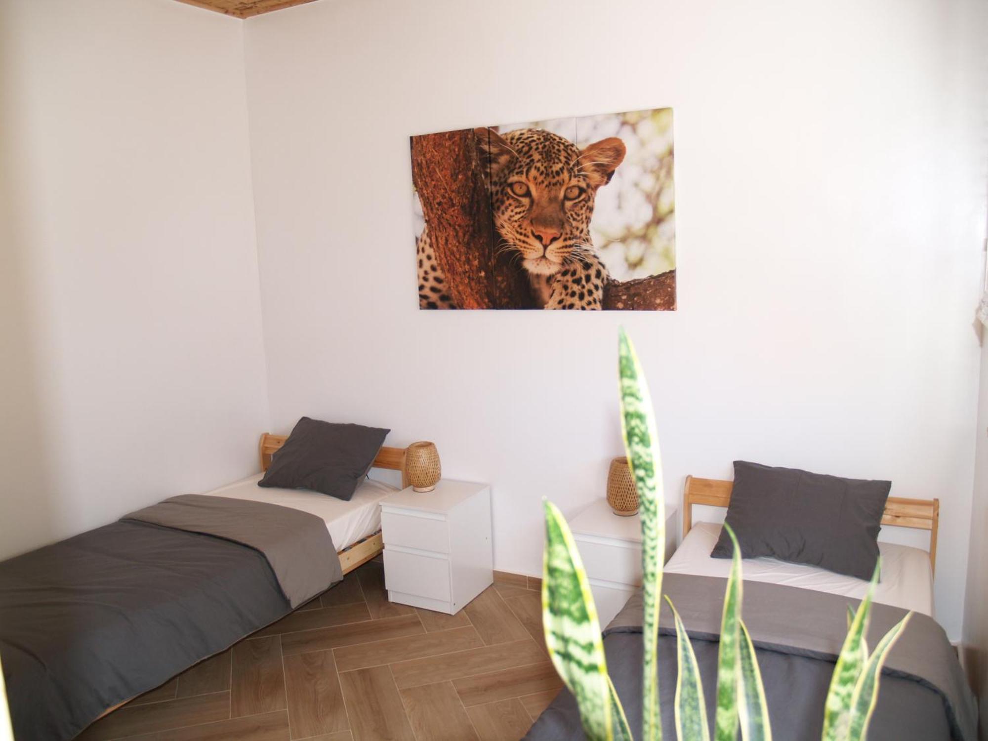 Dar Makai Surf Hotel Tamraght Dış mekan fotoğraf